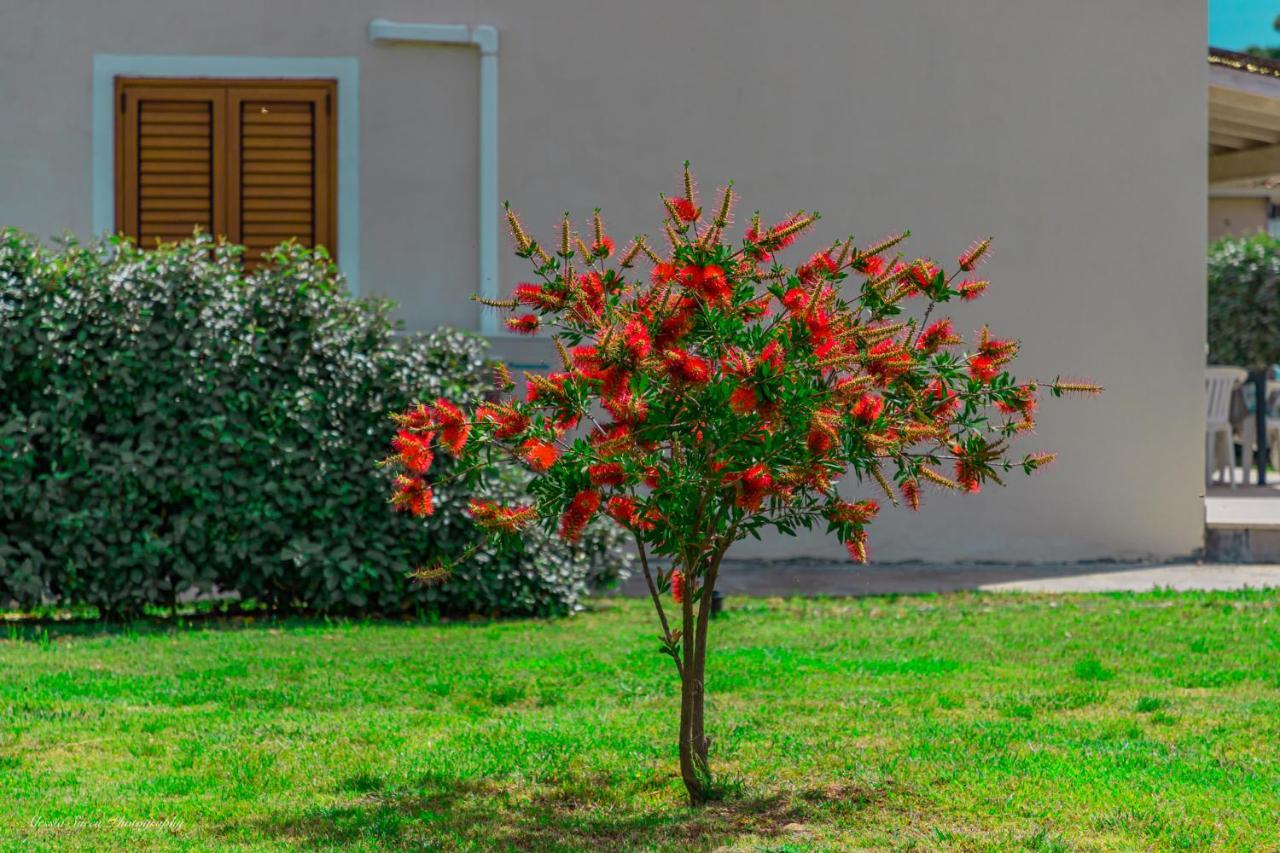 Stella Marina Budoni Esterno foto